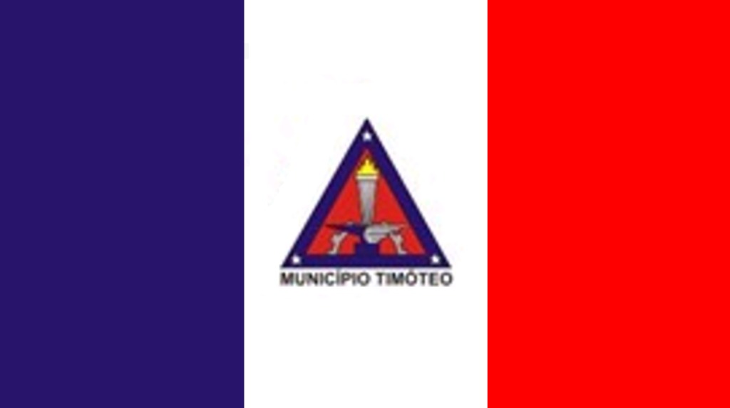 Bandeira do Município Bandeira do Município de Timóteo