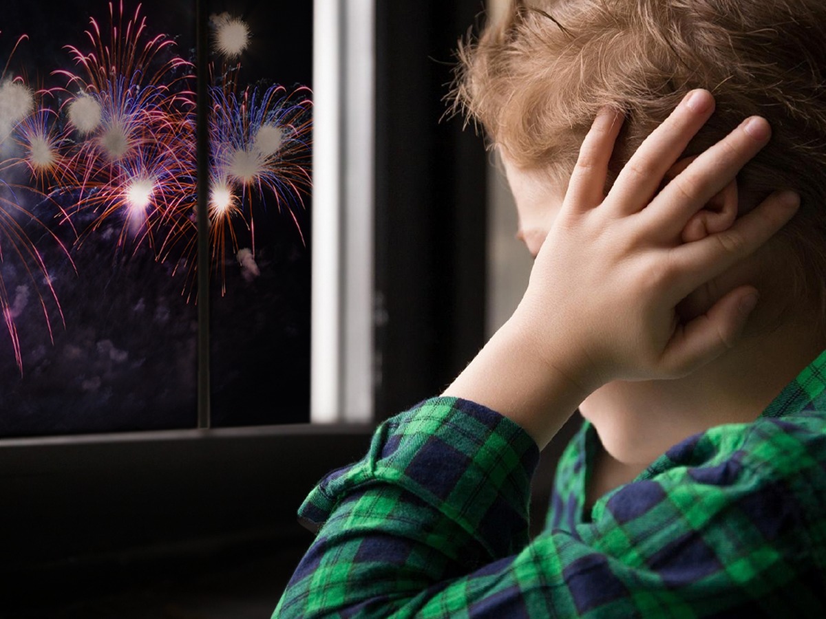 Câmara de Timóteo debate proibição de fogos de artifício com efeitos sonoros