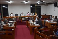 Comissões permanentes da Câmara de Timóteo aprovam nove matérias