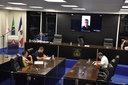 Comissões se reúnem para análise de emendas ao PL sobre concessão do Vital Brazil