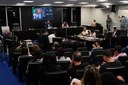 Proteção a crianças e adolescentes é aprovada na Câmara de Timóteo